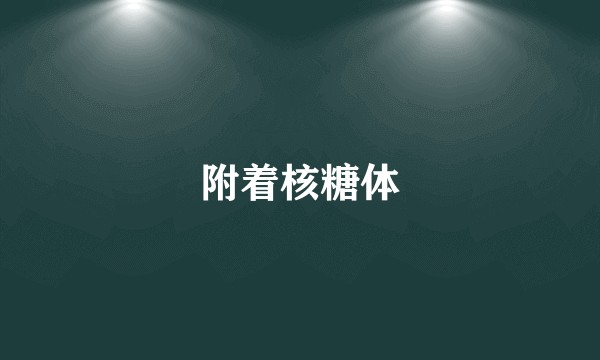 附着核糖体