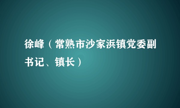徐峰（常熟市沙家浜镇党委副书记、镇长）