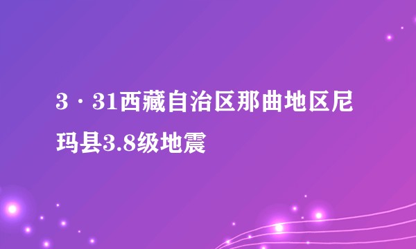 3·31西藏自治区那曲地区尼玛县3.8级地震