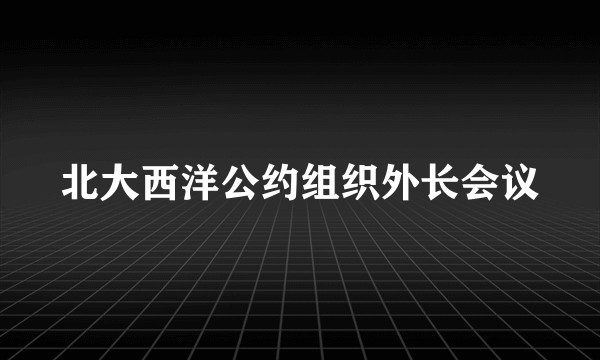 北大西洋公约组织外长会议