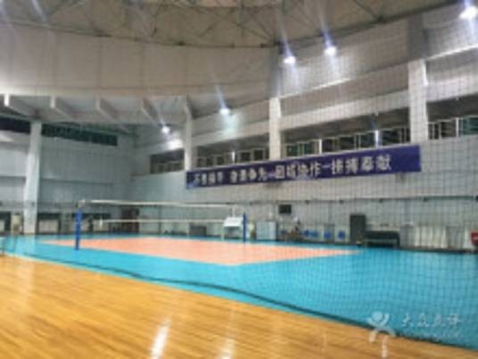 2013年上海女排邀请赛