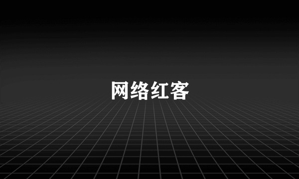 网络红客