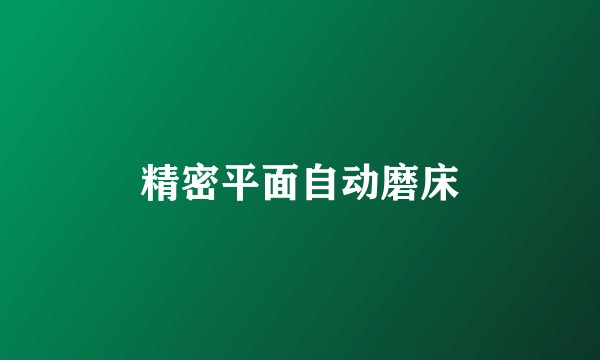 精密平面自动磨床