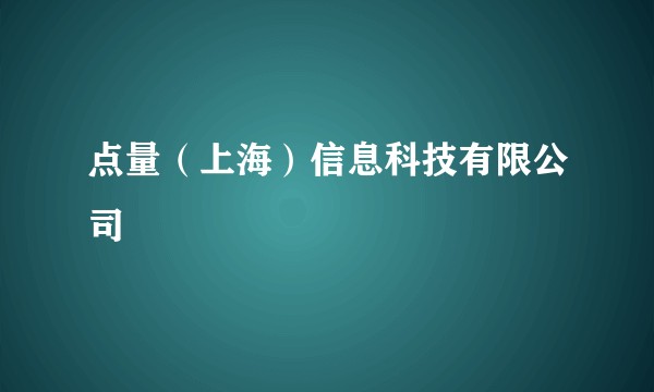 点量（上海）信息科技有限公司