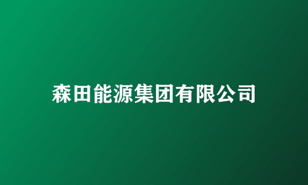 森田能源集团有限公司