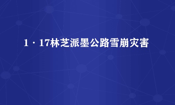 1·17林芝派墨公路雪崩灾害