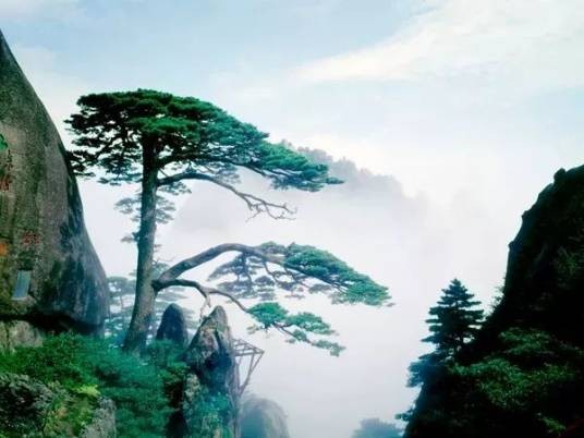 黄山景观