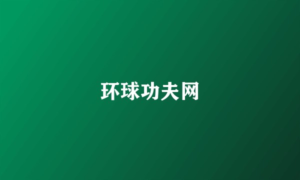 环球功夫网