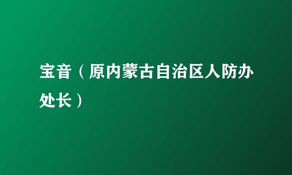 宝音（原内蒙古自治区人防办处长）