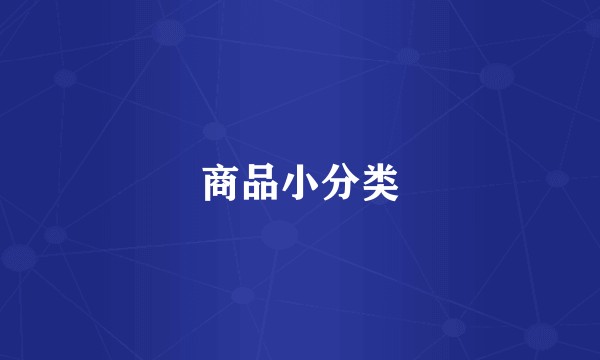 商品小分类