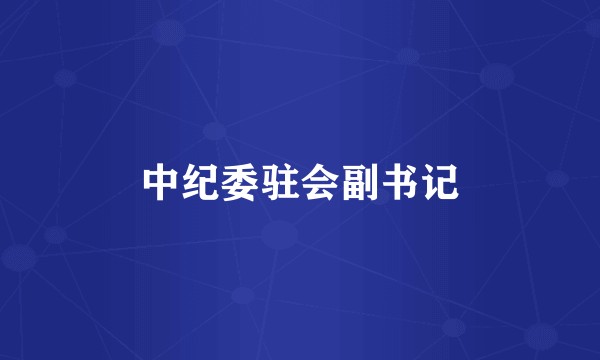 中纪委驻会副书记