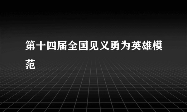 第十四届全国见义勇为英雄模范