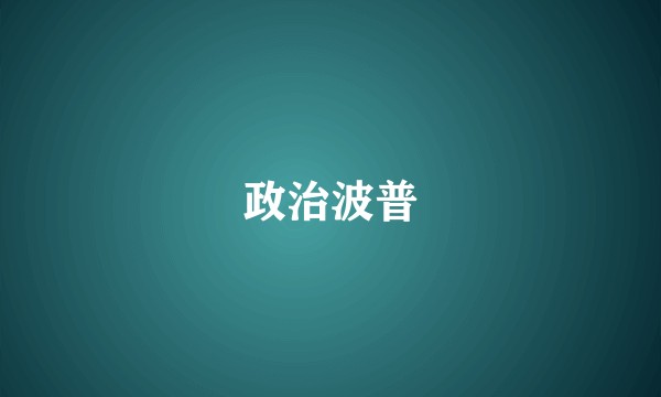 政治波普