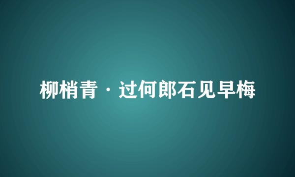 柳梢青·过何郎石见早梅