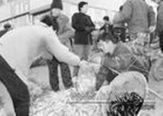 王树成（中共河南省委原副书记）