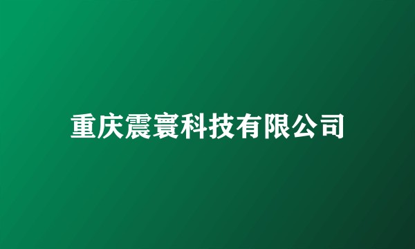 重庆震寰科技有限公司