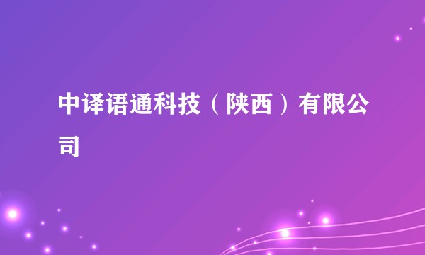中译语通科技（陕西）有限公司