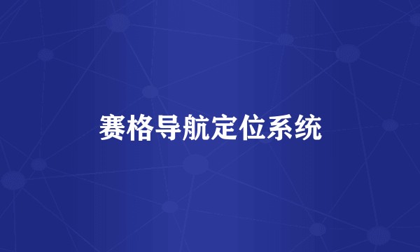 赛格导航定位系统