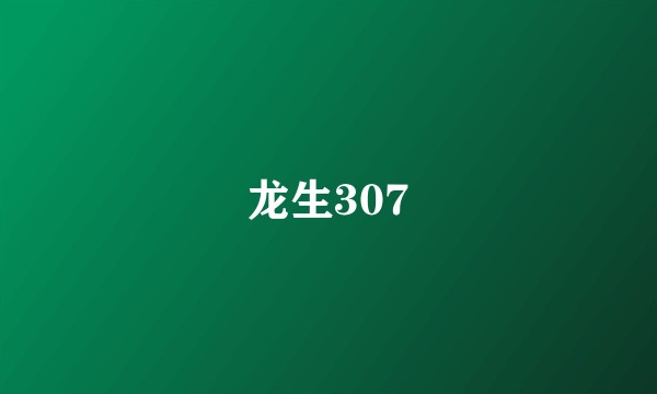 龙生307
