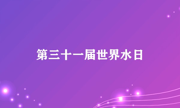 第三十一届世界水日
