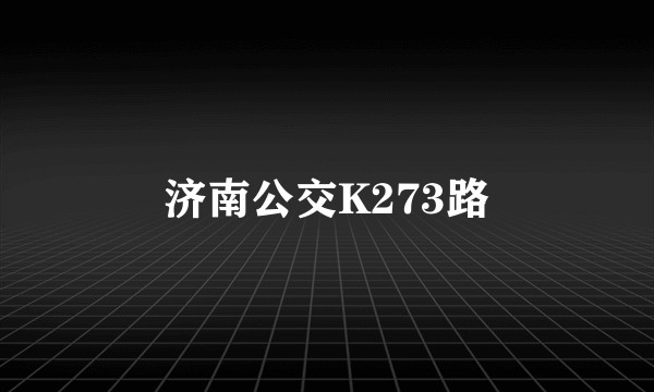 济南公交K273路