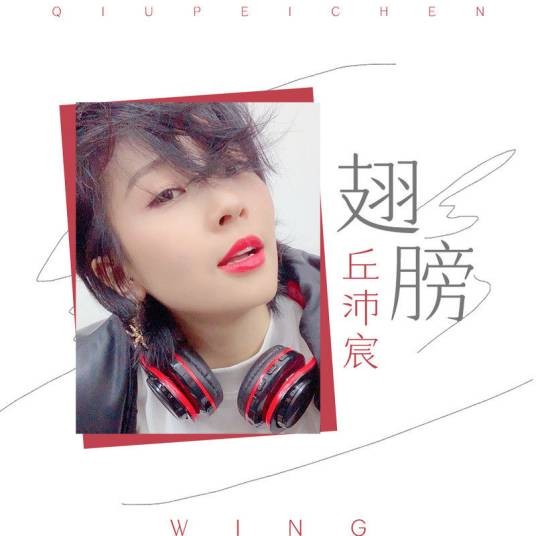 翅膀（丘沛宸演唱的歌曲）