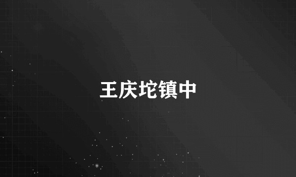王庆坨镇中