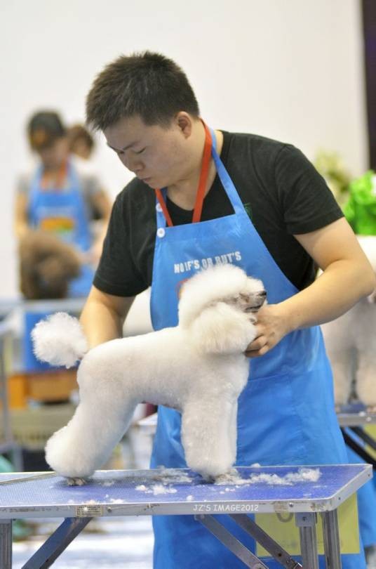 张鲁明(NGKC认证会员)