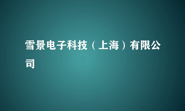 雪景电子科技(上海)有限公司