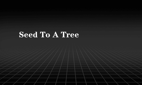 Seed To A Tree