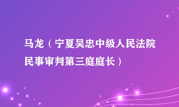 马龙(宁夏吴忠中级人民法院民事审判第三庭庭长)