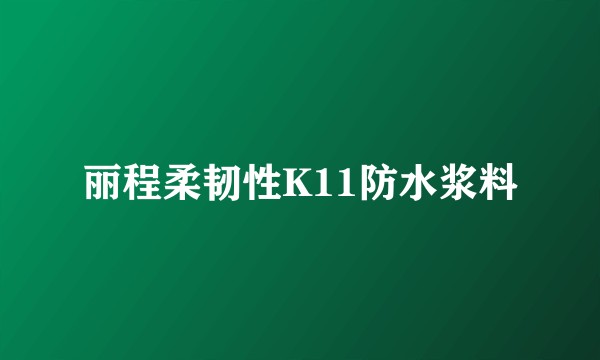 丽程柔韧性K11防水浆料