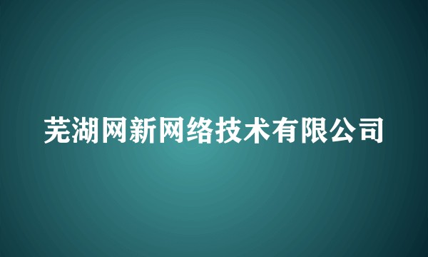 芜湖网新网络技术有限公司