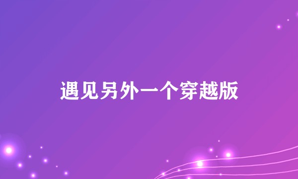 遇见另外一个穿越版
