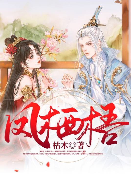 凤栖梧(枯木所著小说)