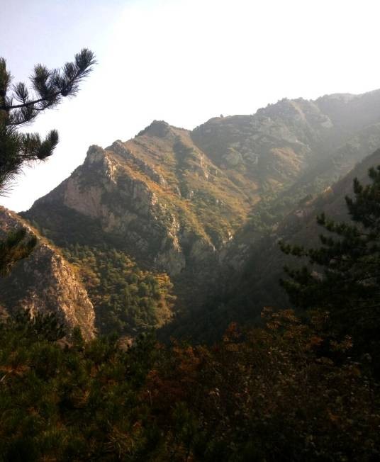 系舟山