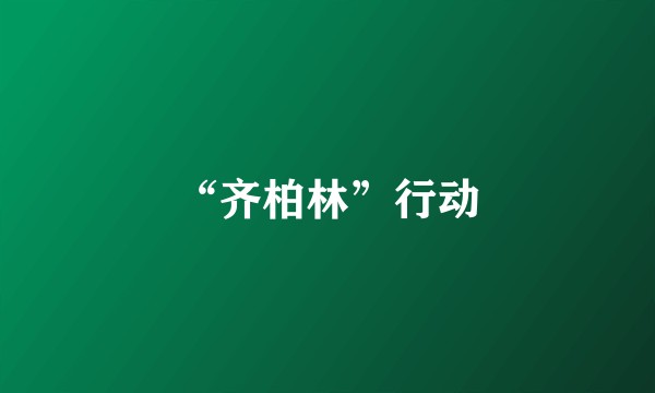 “齐柏林”行动
