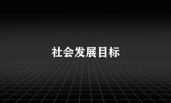 社会发展目标