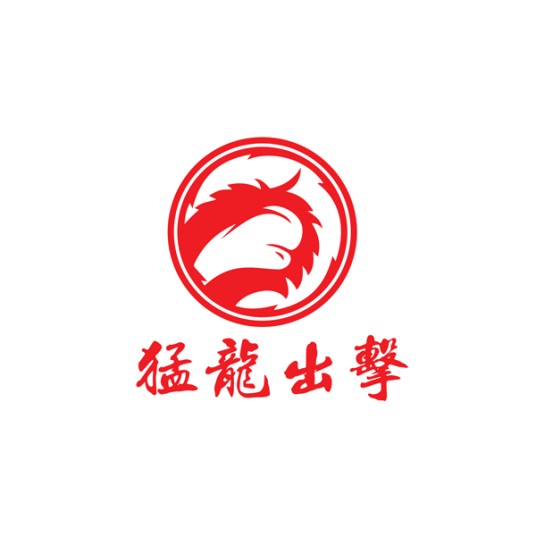 猛龙出击(河南)文化传媒有限公司