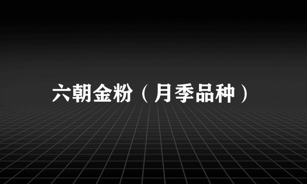 六朝金粉（月季品种）
