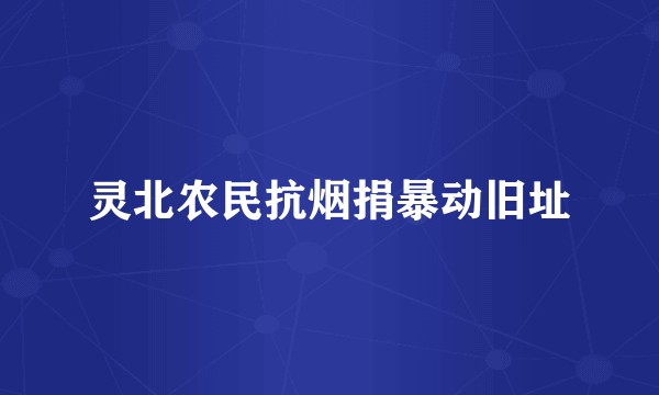 灵北农民抗烟捐暴动旧址
