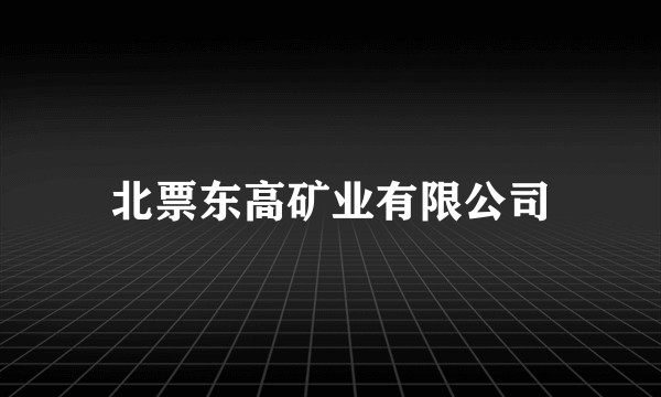 北票东高矿业有限公司