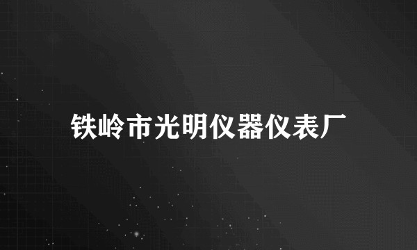 铁岭市光明仪器仪表厂