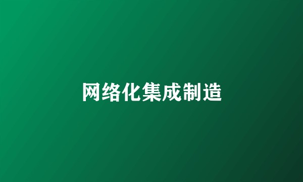 网络化集成制造