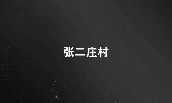 张二庄村