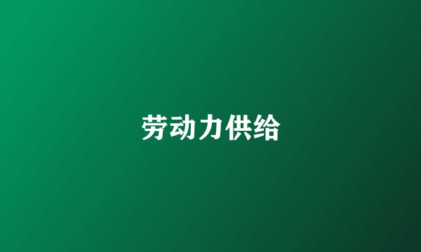 劳动力供给