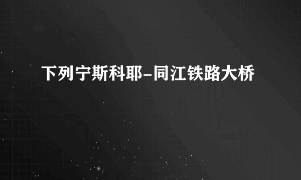下列宁斯科耶-同江铁路大桥