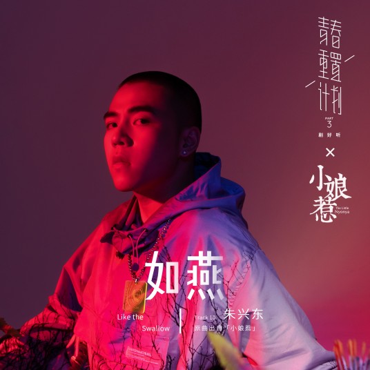 如燕（朱兴东翻唱歌曲）