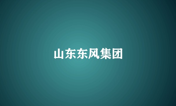 山东东风集团