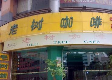 老树咖啡湾畔店